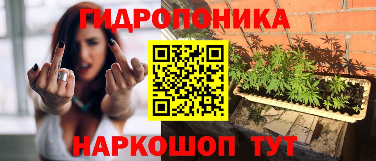 Биробиджан  Бошки марихуана гибрид  Вход с VPN  Шишки марихуана гибрид  МАРИХУАНА SATIVA & INDICA  Марихуана OG Kush 